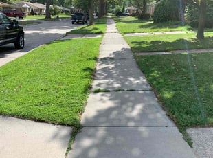 Vickie A.'s grass cutting service result