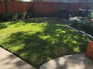 Hector C.'s lawn care service result