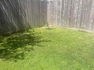 Cheryl S.'s turf care service result