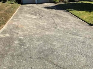 Nicole W.'s turf care service result