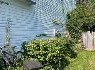 Nancy A.'s Bush Trimming service result