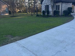 Andrea C.'s lawn maintenance service result