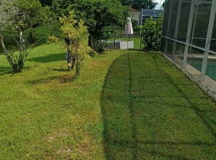 Lee W.'s lawn care services service result