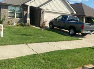 Austin S.'s turf maintenance service result