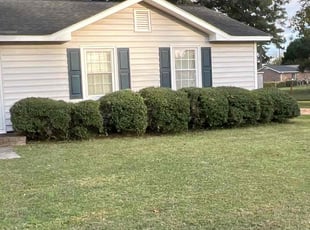 Mike B.'s Bush Trimming service result