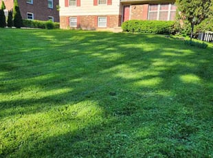 Maria L.'s yard service service result