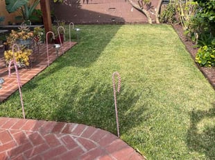 william p.'s lawn maintenance service result