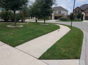 Zachary K.'s lawn care service result