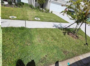 Marco K.'s grass cutting service result