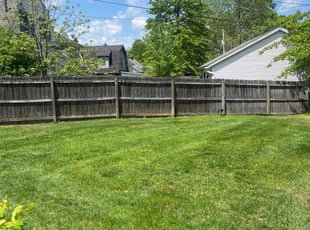 Mitch B.'s grass maintenance service result