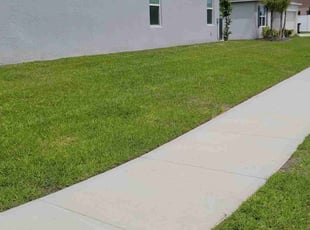 Chinmaya M.'s turf care service result