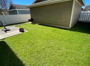 Betty J.'s turf maintenance service result
