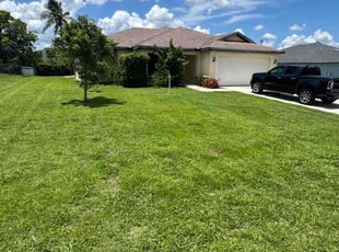 Yvette A.'s lawn maintenance service result