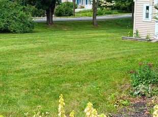 Brittney K.'s lawn service service result