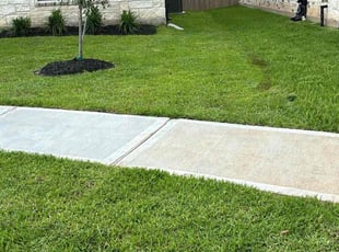 Amber H.'s turf maintenance service result