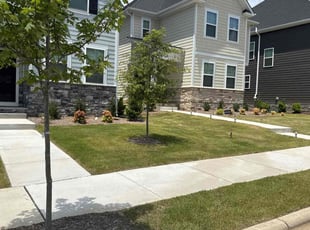 Julie C.'s grass maintenance service result
