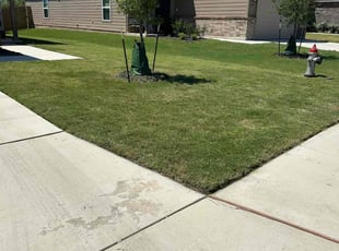 James F.'s grass maintenance service result