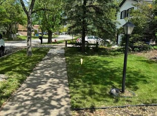 Rhonda J.'s lawn service service result
