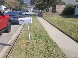 Carmen P.'s lawn service service result