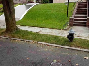 Justin N.'s turf care service result