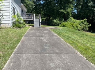 Melissa D.'s grass cutting service result