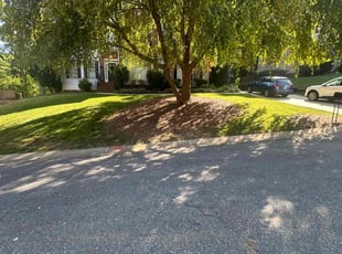 Kenneth B.'s lawn care services service result