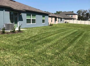 Patricia M.'s turf care service result