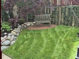 James M.'s grass maintenance service result