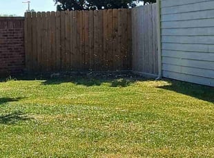Lesley K.'s lawn maintenance service result