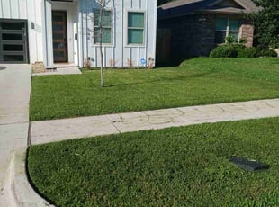 Erick B.'s lawn service service result
