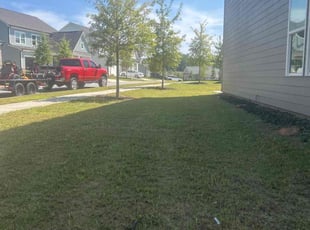 Danielle A.'s grass maintenance service result