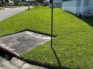 Tamara W.'s grass maintenance service result