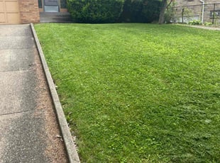Heather M.'s turf maintenance service result