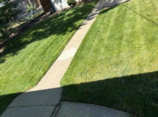 Victoria P.'s lawn service service result