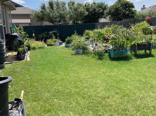 Erin Y.'s lawn maintenance service result