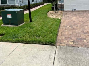 Jackie H.'s turf care service result
