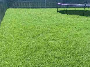 Audrey W.'s turf care service result
