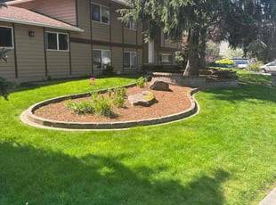 Tianxing W.'s grass maintenance service result