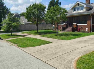 Starkita M.'s grass cutting service result