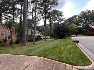 Donnelle M.'s turf maintenance service result