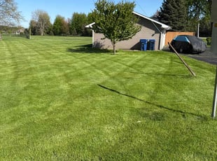 Ryan B.'s lawn care service result