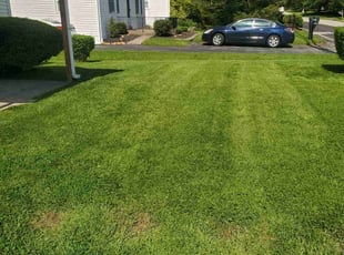 John B.'s lawn maintenance service result