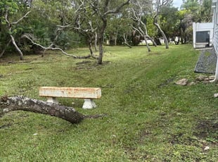 Markus J.'s lawn care service result