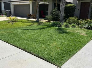 Irvin D.'s turf maintenance service result