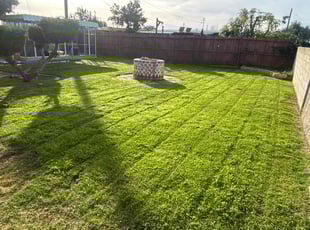 Albert F.'s lawn care services service result