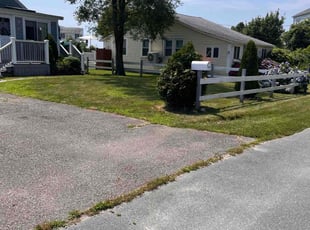 Valencia H.'s lawn care service result