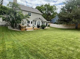 Rochelle M.'s turf maintenance service result