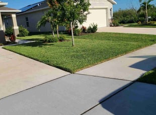 Tammila S.'s lawn care service result