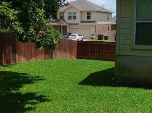 Johnay W.'s lawn care service result