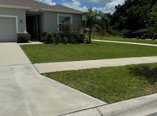 Toni T.'s lawn maintenance service result